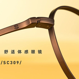 ��߅�߶Ȕ����RС��47ʩ���A��R�������RSEROVA/ʩ���ASC309