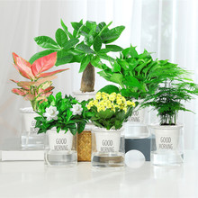 �lؔ��Gֲ�d�ӻ�������С�����J�C����ֲ��ˮ��G�}�k���҃Ⱥ��B