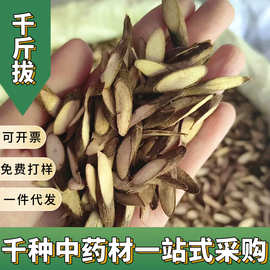千斤拔中药材批发千金拔代磨粉老鼠尾吊马桩金牛尾一条根大货供应