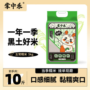 �峣Ŵ��10��һ���|���A��Ŵ��2025��������װ������׽��������