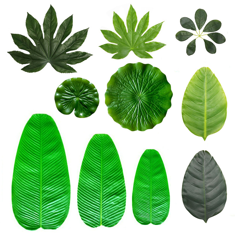 O1CN01SZLE0n24AoICT4SaZ_!!4027