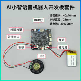 ESP32现货AI小智语音助手交互机器人开发板套件 Deepseek学习模块