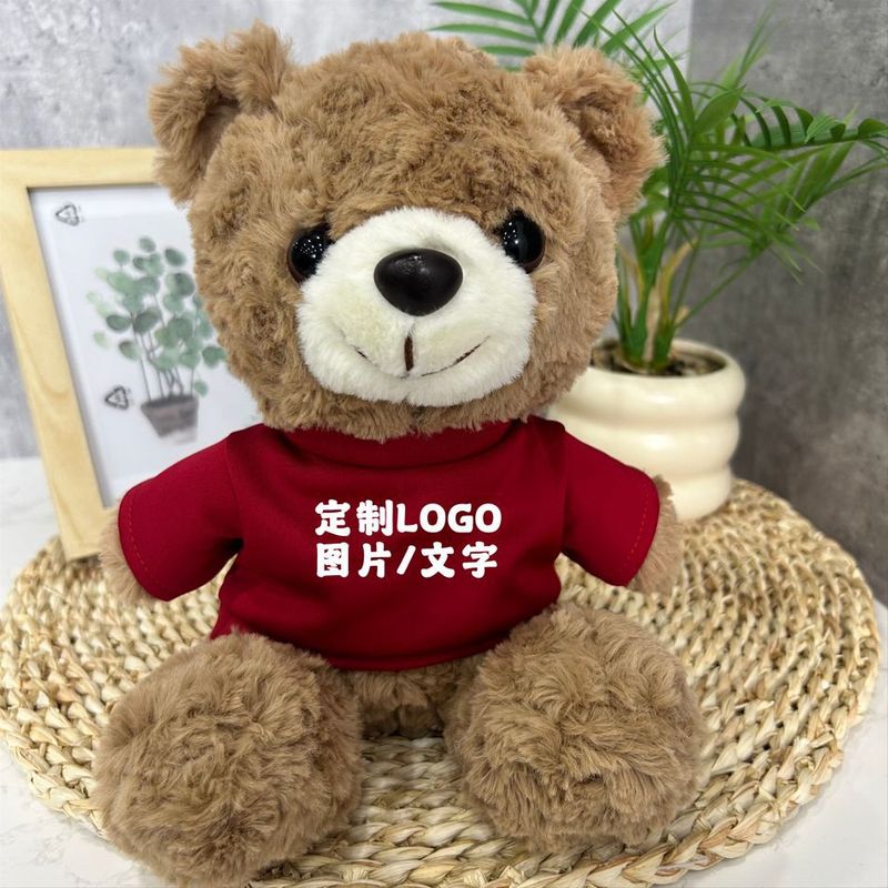 公仔小熊换衣服T恤校服毛衣娃娃毛绒玩具玩偶来图来样印制logo|undefined