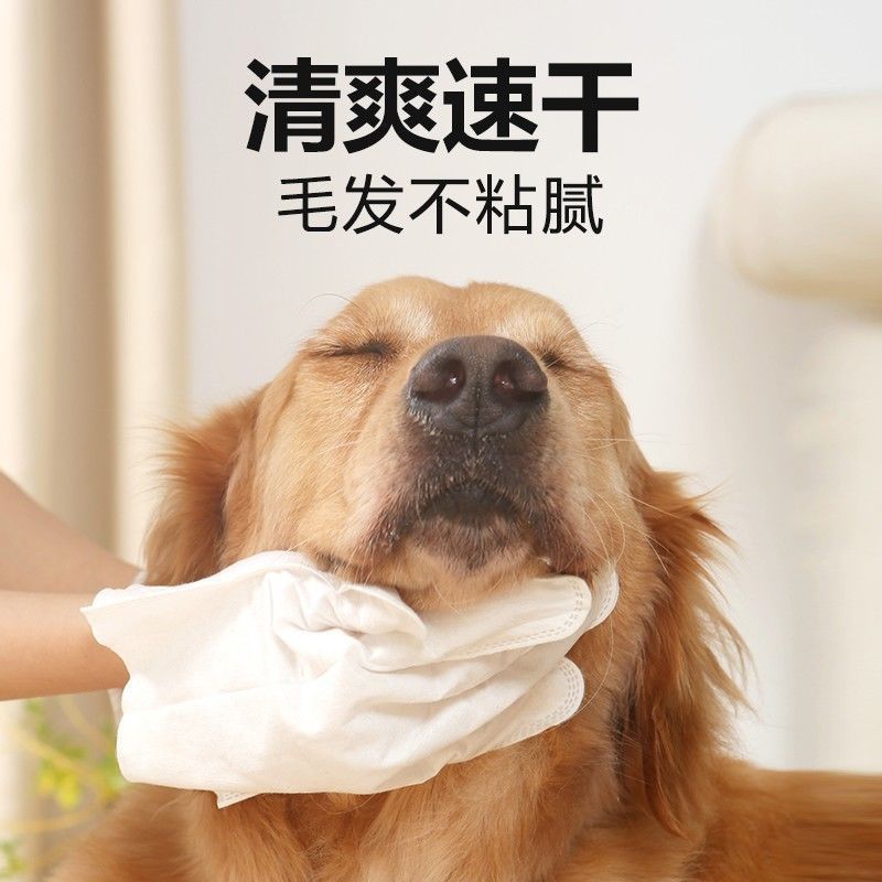 ペット用無水手袋、ウェットティッシュ、ドライクリーニング、猫のボディクリーニング、犬用ウェットティッシュ、入浴用クリーニング用品|undefined