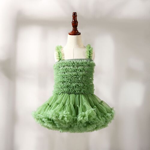 Tutu Dress Mesh with Gabon Embroidery for Girls, Summer Style — Petite & Medium-Sized Kids' School Dance Tutu Skirt, Perfect as a June 1st Festival Gown