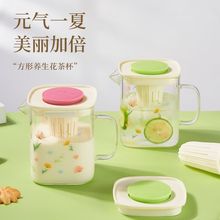 夏季简约耐热玻璃花茶养生水壶家用泡茶壶茶水分离办公可加热水具