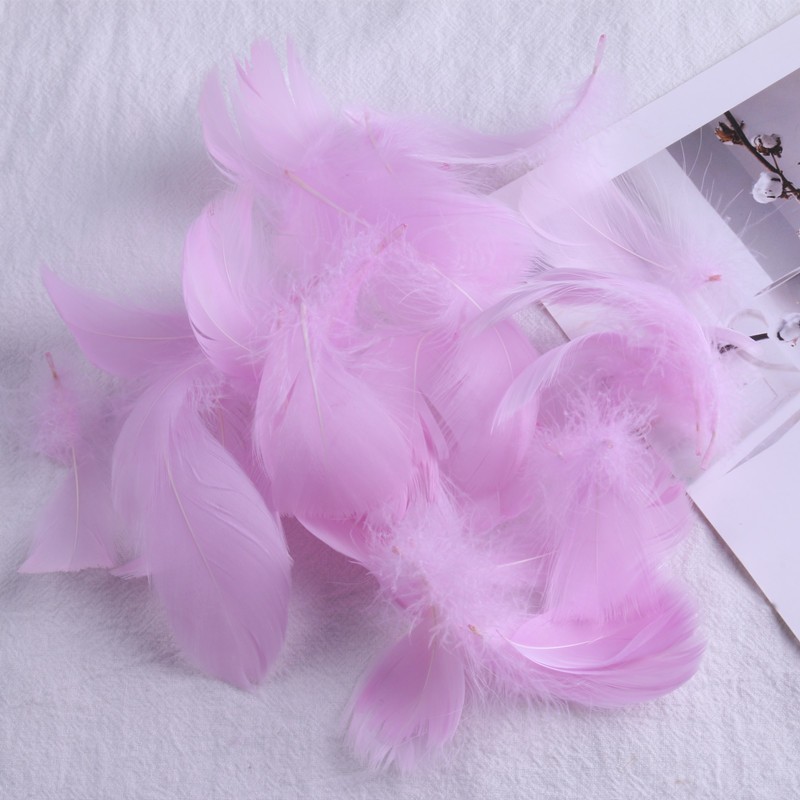 라이트 퍼플 파우더 (100 뿌리 배치)