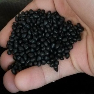 Tpee American Dupont 7248 Injection Molding Grade Good Toughness Chemical Resistance Wear Resistance Wire and Cable Applications