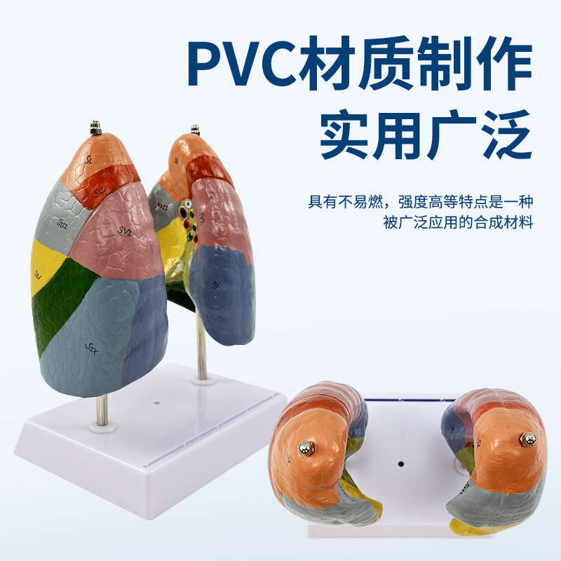 ɫ�ַζ�ģ�� �����ģ�� ��ɫ������ �ν��� ����ϵͳ �ζη���