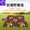 Xiamen Foldable Portable Picnic mat outdoors Moisture-proof pad thickening waterproof Moisture-proof outdoors Cushion Mat wholesale