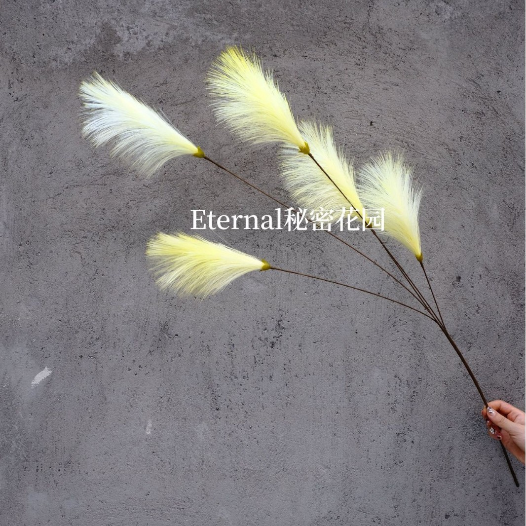 Cola de conejo amarilla de ganso