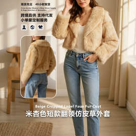 亚马逊热款仿皮草上衣女跨境新款时尚百搭跨境热销款工厂大货批发