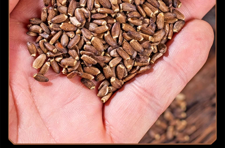 Milk Thistle Seed Shui Fei Ji 500g Dried Silybum Marianum Seeds for Herbal Tea and Decoction details