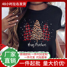 �羳��Դ��������ʥ���ڿ���ʥ����ʥ�����˼�Լʱ�д��볱��T��
