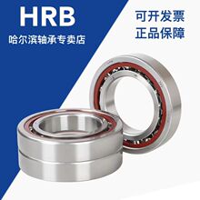 现货 哈尔滨角接触轴承7203AC 7204AC 7205AC机床主轴轴承