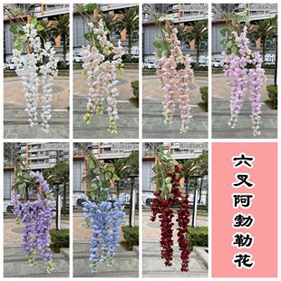 ��ɫ���ٻ��S�� 6�氢���ջ� �����¿����ٶ�����Y���bٻ���