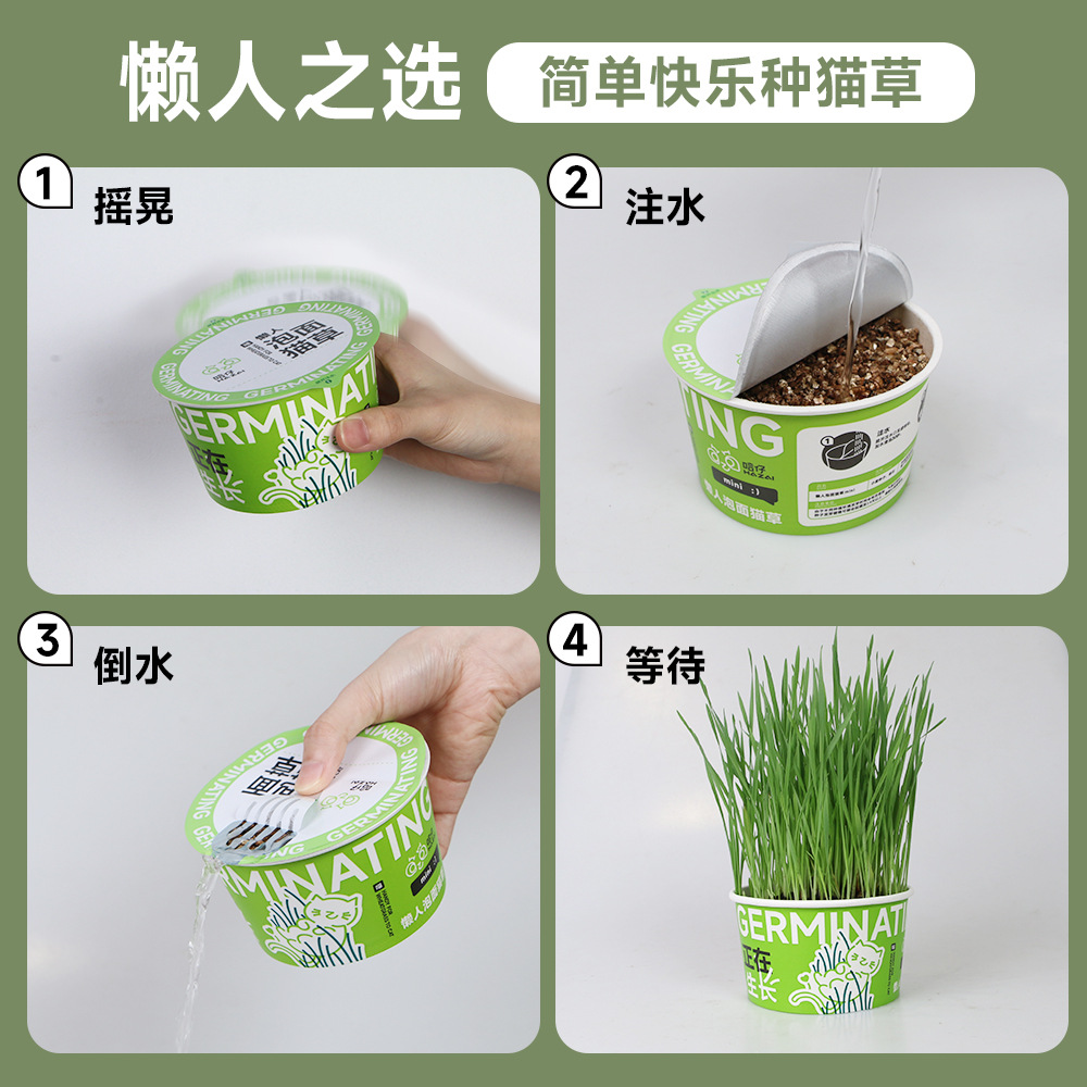 Cat grass potted lazy planting cat -grass cup cat grass seed cat…