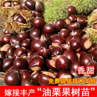 �;żҰ������޽����������N�F�����ϱ����Nֲ��t�۰���Թ���