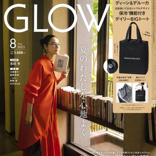 Daily miscellaneous appendix DEAN&DELUCA cold-insulated picnic bag, large-capacity insulated portable shoulder bag for outings