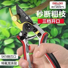 ������늚���֦�������{���@ˇ��������޽Ӽ���ˇ����ʡ����