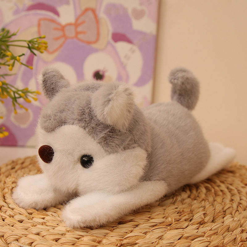 Moto, círculo, zorro, mapache, muñeco husky, pulsera, muñeco, peluche, muñeco, muñeco, muñeca, círculo