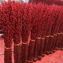 红色招财银柳干花真花鲜枝耐寒花卉可水培植物客厅室内装饰年宵花