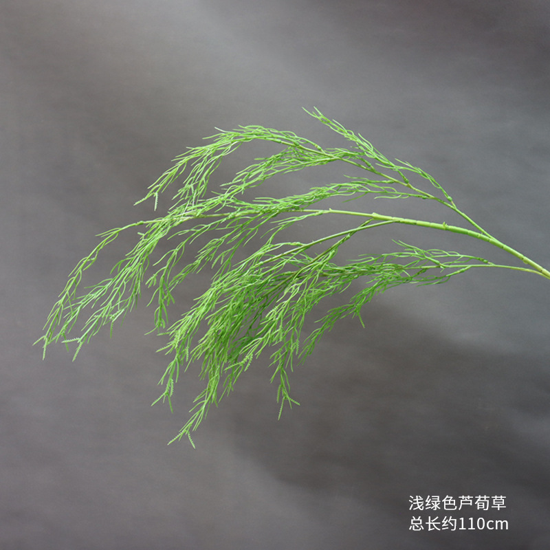 연한 녹색 리드