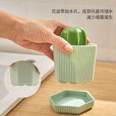 New Product Creative Cactus Nano Cleaning Ball Gradient Color Cleaning Brush Cactus Cleaning Brush