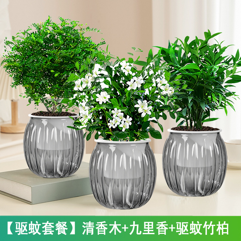 [모기퇴치 패키지] 향목 + 구리향 + 모기퇴치대나무와 편백나무(회색호박냄비) + 캠프