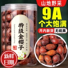 批发新货金樱子野生中药材500g泡酒药材金婴子干果金英子肉去籽