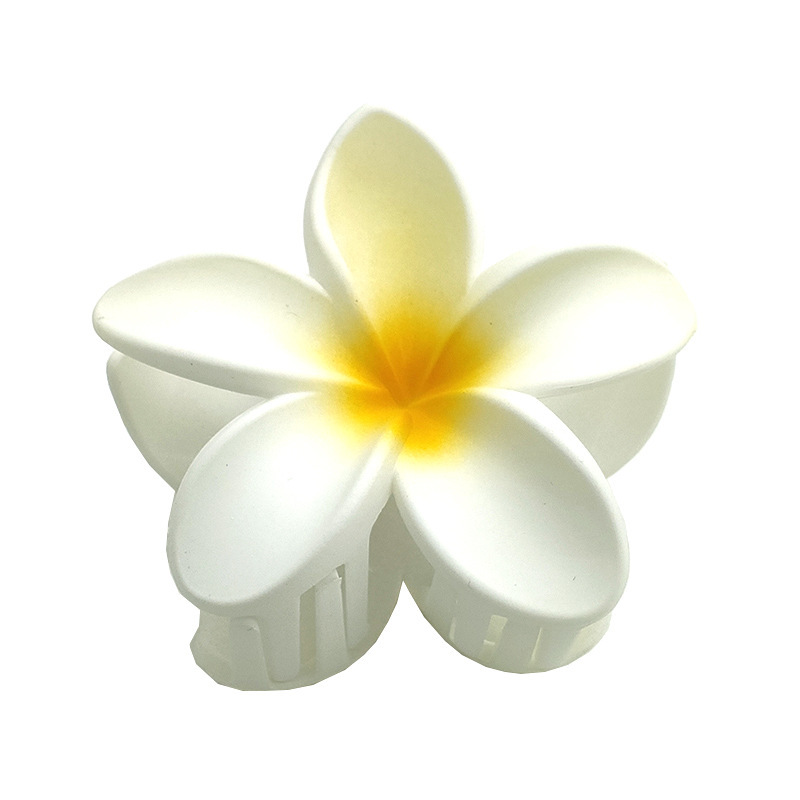 国境を越えたアマゾンの卵の花がグラデーションの花のキャンディー色の紫荊花の後頭部をつかんでサメの花を挟んで髪を伸ばします。|undefined