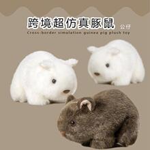 �羳���﹫��ë�q��߿ɐ��������������ձ�С�}����ż�������Y��