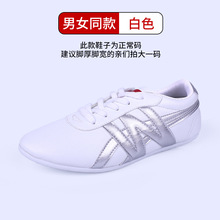 大业亨通武术比赛表演鞋太极拳练功鞋牛筋底男女春秋透气轻便W鞋