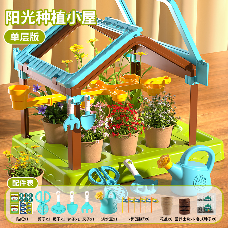 [절묘한 선물 상자] 단층 햇빛 방 6 씨앗 세트