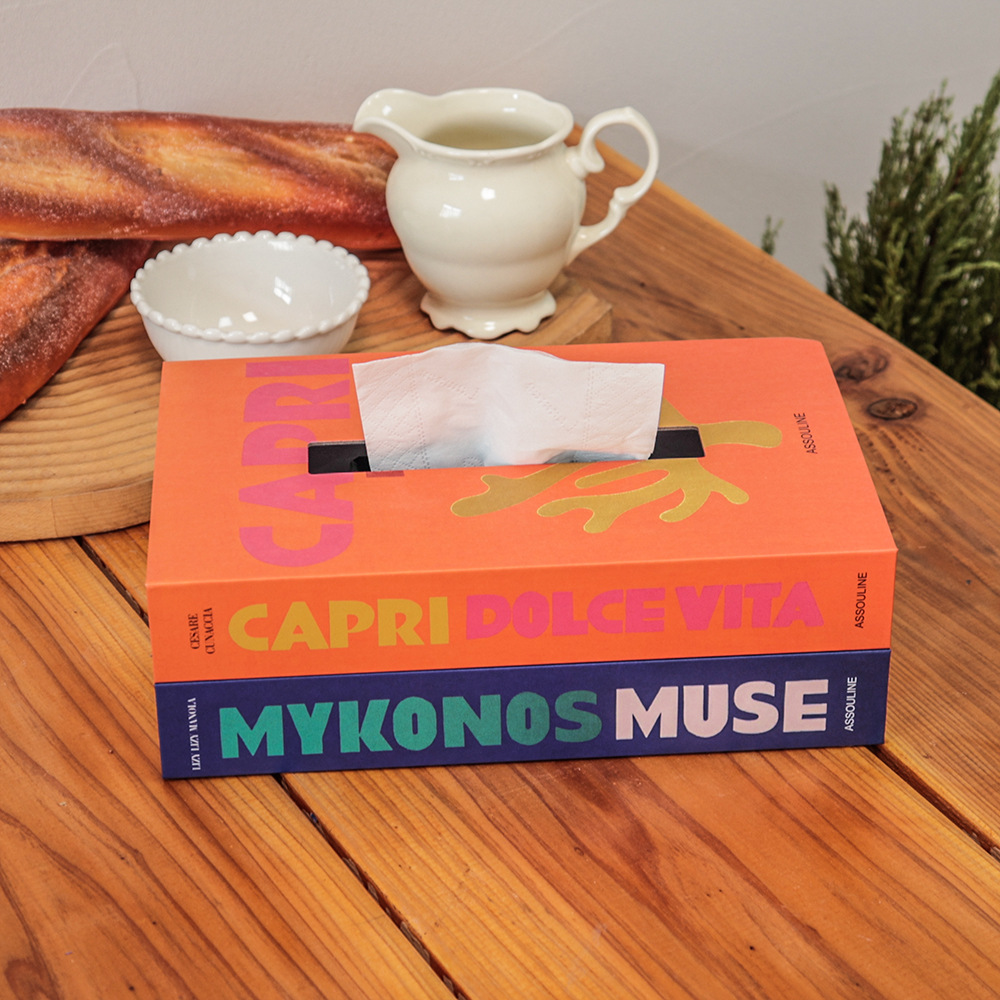 Decoración simple creativa de lujo caja de servillas de libros falsos sala de estar del dormitorio mesa de té decoración de escritorio caja de servillas