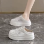 包头增高透气春夏女鞋