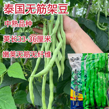 ̩���o��ܶ��N�ӟo��ܶ����o�z�������v�L����ļ������߲˷N��