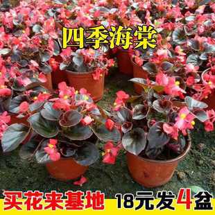 �ļ����Ļ����������ĺ��B�҃��ļ��Nֲ�������r�����Ԏ������l