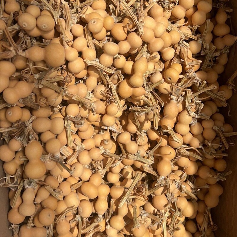 草里金小葫芦手把件手串手持文玩特小美国手捻产地卸売天然葫芦|undefined