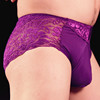 Breathable lace sexy pants, underwear, shorts, plus size