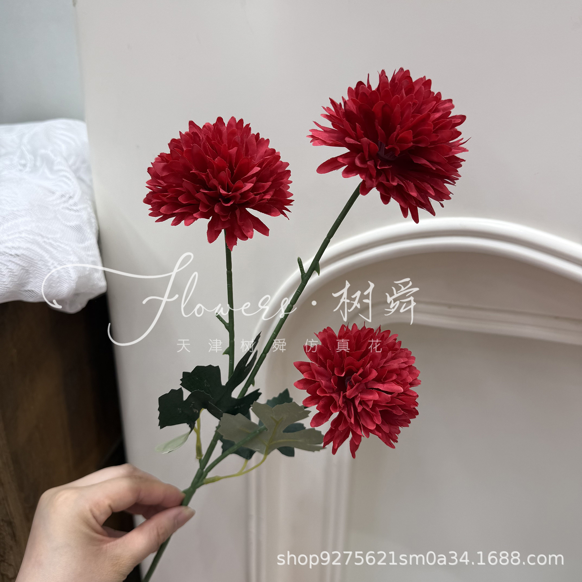 레드