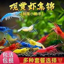 �ښ��r�~��ˮ���坍���幤���^�p���r������w��ϵ�ˮ���쾰