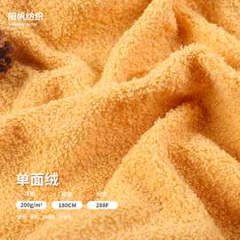 云朵绒现货 全涤美丽绒纬编 秋冬家居服睡衣鞋袜靠垫抱枕面料