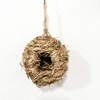 Bird's nest decoration simulation grass woven grass nest handmade outdoor small bird house outdoor pendant pendant coconut shell bird nest bird nest