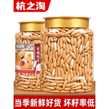 ��������2025��؛�Թ���Ş���ք������خa����؛�Թ���؛��ʳ