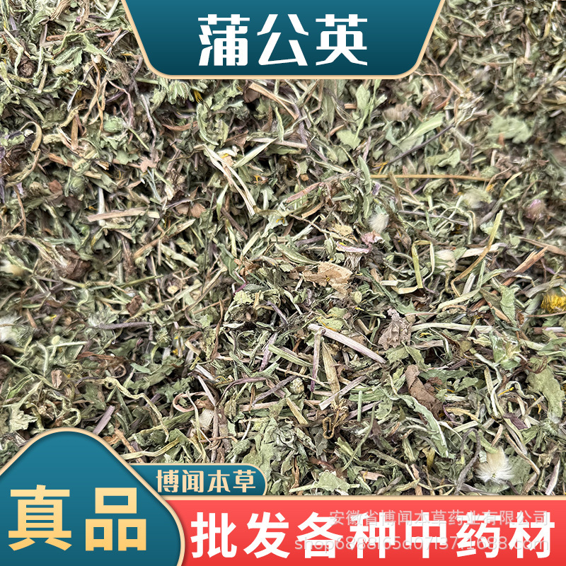 Chinese Medicinal Herb Dandelion, New Sulfur-Free Dandelion Tea, Complete Specifications, Large Supply from Origin Chinese Medicinal Herb Dandelion, New Sulfur-Free Dandelion Tea, Complete Specifications, Large Supply from Origin
