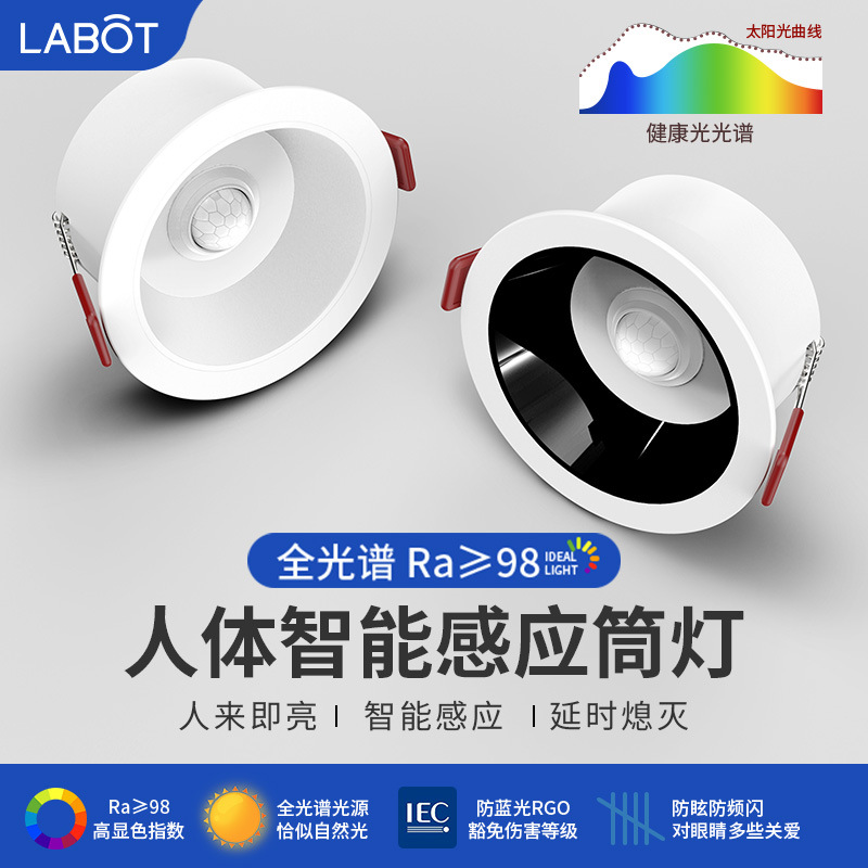 Induction ceiling light