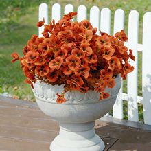 ������ɫϵ7����ɫ�����滨�����ٻ����콁���b��R�d���T�F؛