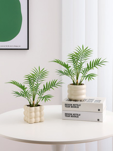 ֲﱱWbСkҿ͏d҃辰[ٻGֲ