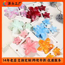奇阅跨境热销鸡蛋花抓夹组合套装度假花朵发夹女后脑勺鲨鱼夹发饰
